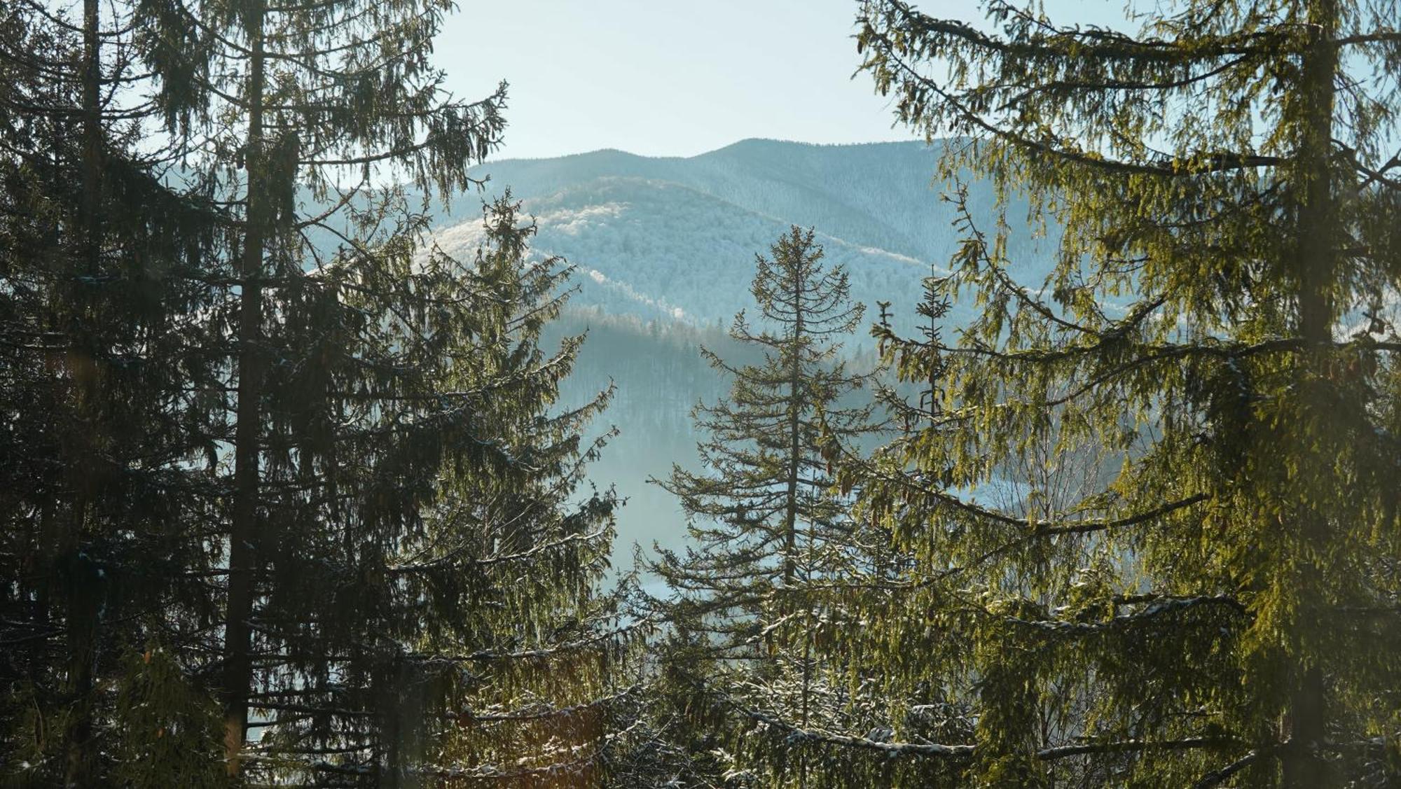 Karpatski Dzherela Yaremche Luaran gambar